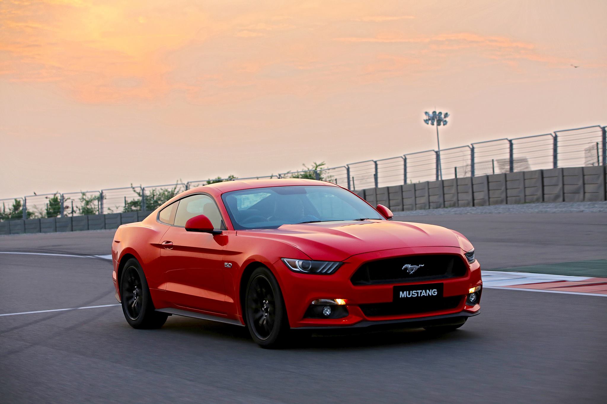 New 2024 Mustang Gt Flor Juditha