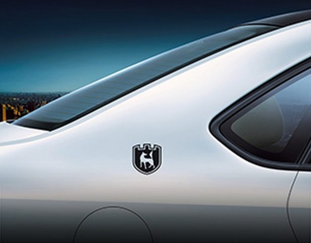 vw-polo-crest-edition-wolfsburg-badge-pictures-photos-images-snaps