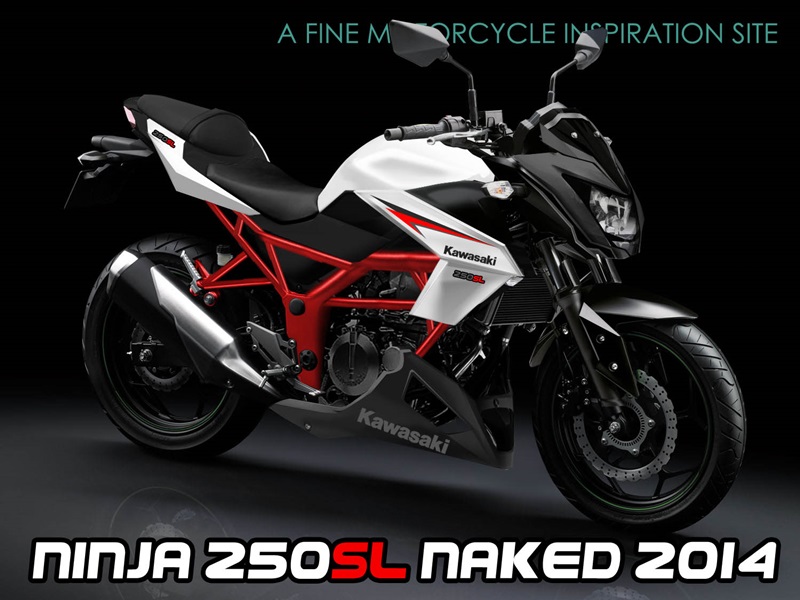 Tak for din hjælp Lang Sportsmand Is Ninja 250cc Kawasaki's upcoming single-cylinder motorcycle?