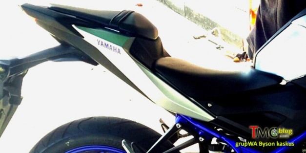 SPIED: Clearest view of the Yamaha MT-25 (naked Yamaha YZF 
