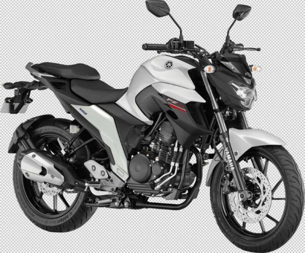 yamaha-fz-25-250cc-warrior-white-pictures-photos-images-snaps-video