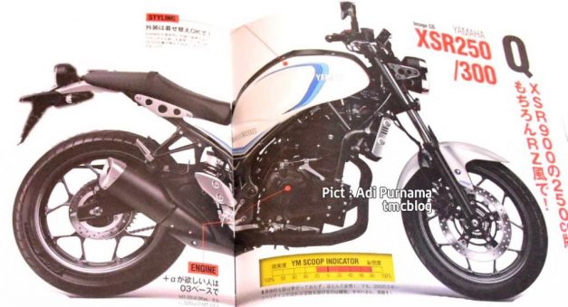 yamaha-xsr300-pictures-photos-images-snaps-video